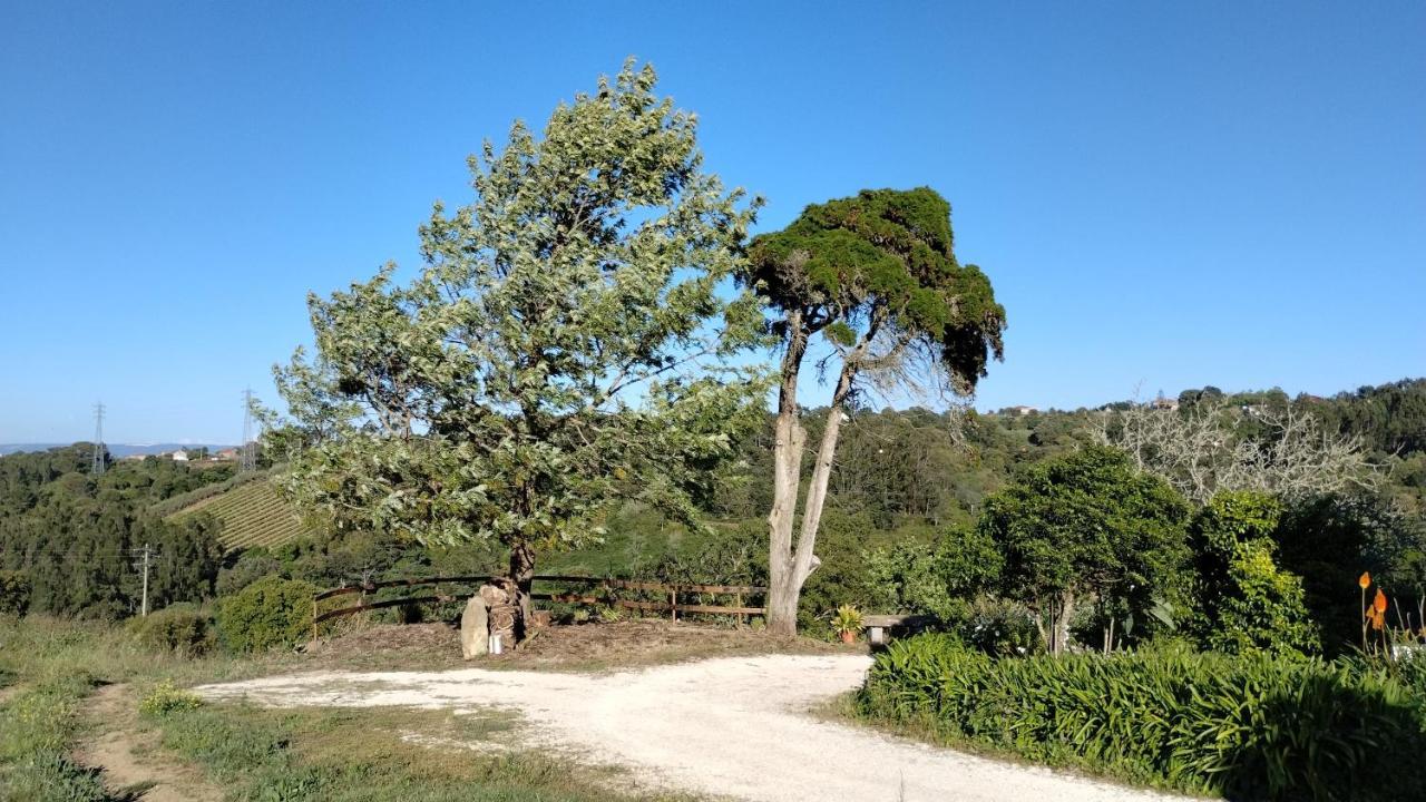 Quinta Do Oratorio Agroturismo Óbidos Eksteriør billede